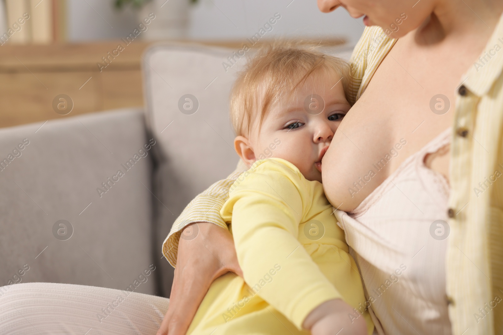 Mother breastfeeding her little baby on armchair indoors, closeup Photo of Mother breastfeeding her little baby on armchair indoors, closeup