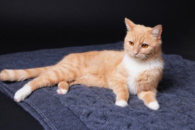 Photo of Adorable ginger cat and blanket on black background