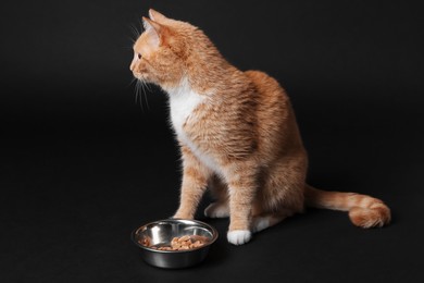 Photo of Adorable ginger cat with bowl of pet food on black background