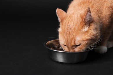 Photo of Adorable ginger cat eating from bowl on black background, closeup. Space for text