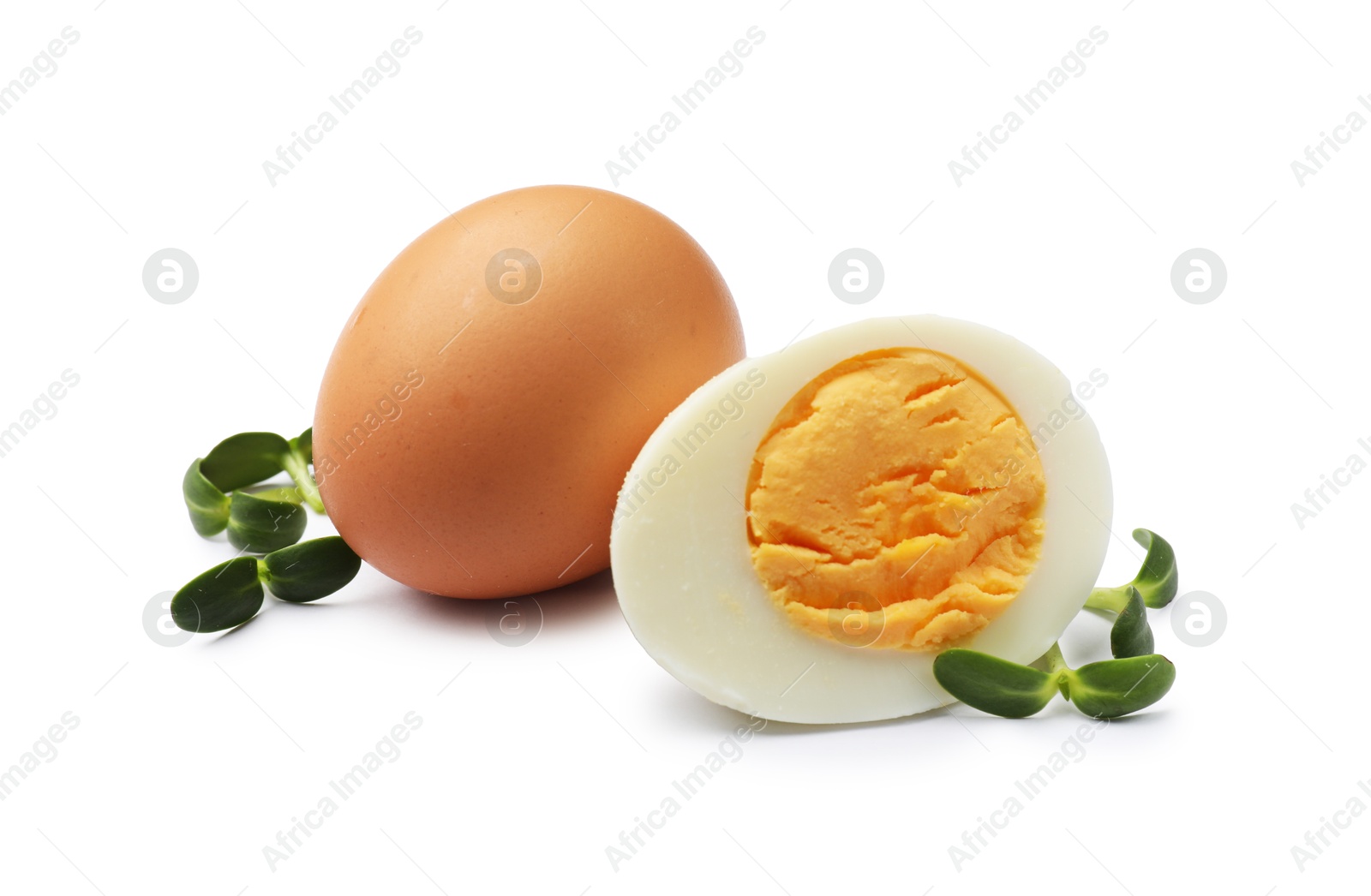 Photo of Hard boiled eggs with microgreens isolated on white
