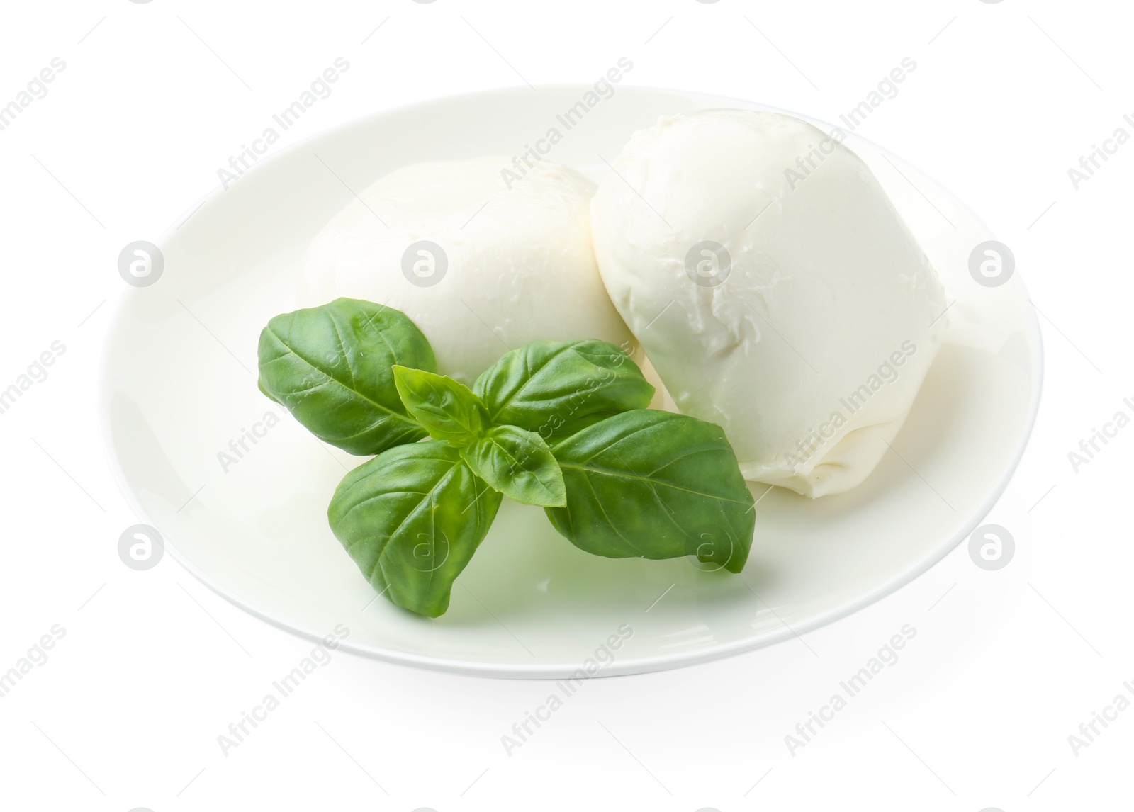 Tasty mozzarella cheese and basil isolated on white Photo of Tasty mozzarella cheese and basil isolated on white