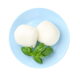 Photo of Tasty mozzarella cheese and basil isolated on white, top view