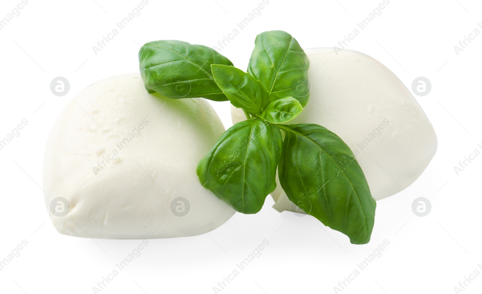 Tasty mozzarella cheese and basil isolated on white Photo of Tasty mozzarella cheese and basil isolated on white