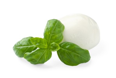 Photo of Tasty mozzarella cheese and basil isolated on white