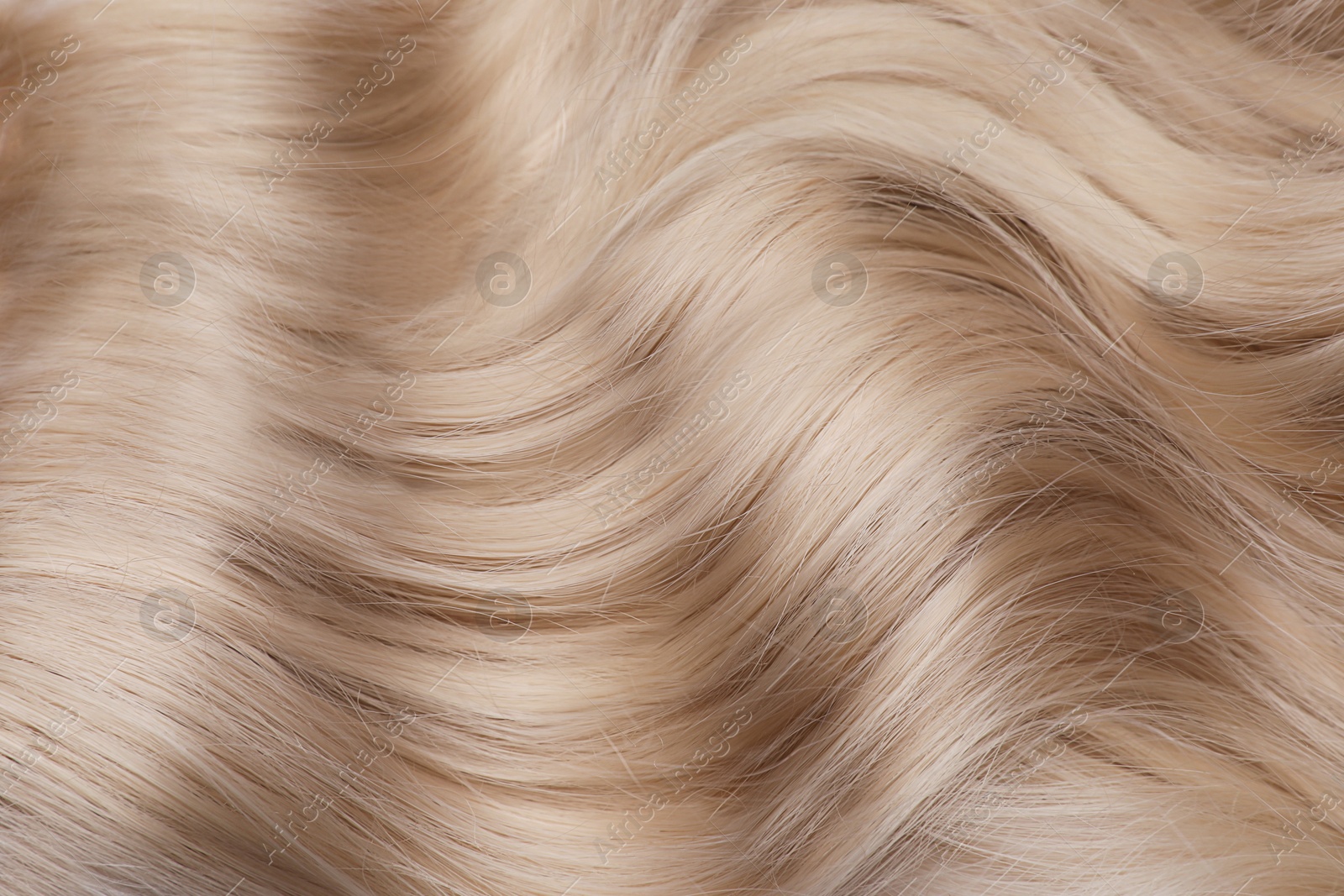 Beautiful shiny blonde hair as background, top view Image of Beautiful shiny blonde hair as background, top view