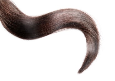 Image of Lock of healthy brown hair on white background