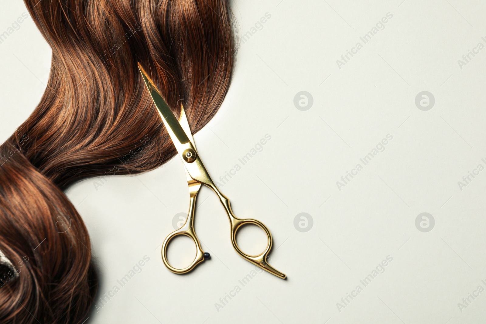 Professional hairdresser scissors with brown hair strand on light grey background, top view. Space for text Image of Professional hairdresser scissors with brown hair strand on light grey background, top view. Space for text
