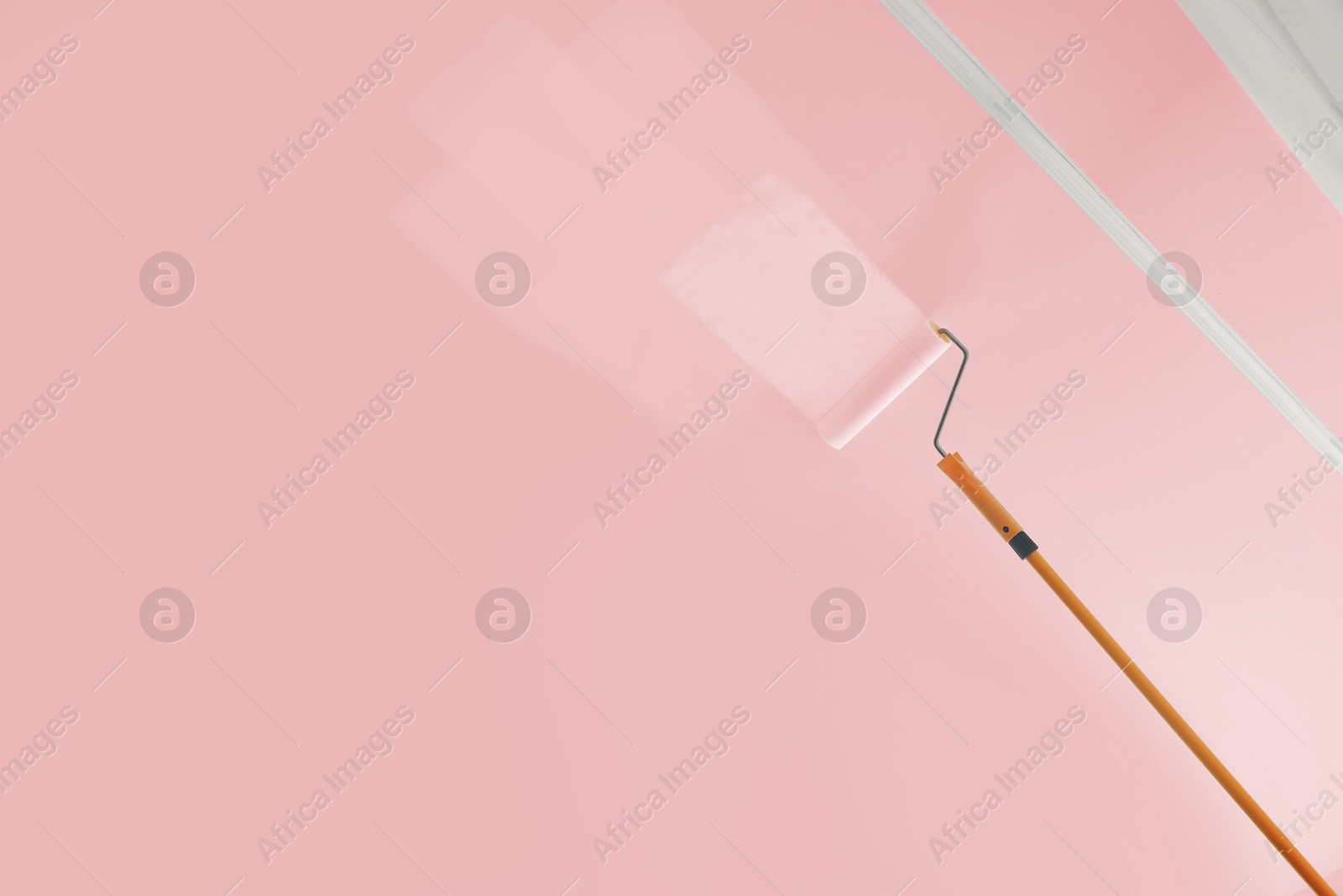 Painting ceiling with pink dye indoors, low angle view Image of Painting ceiling with pink dye indoors, low angle view