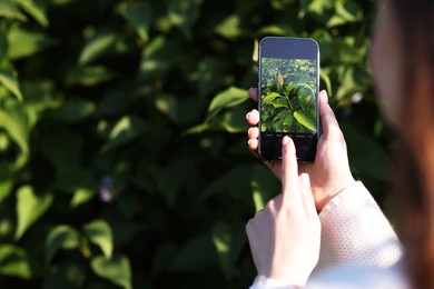 Photo of Woman using plant recognition application on smartphone outdoors, closeup. Space for text
