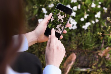 Photo of Woman using plant recognition application on smartphone outdoors, closeup
