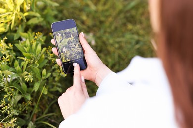 Photo of Woman using plant recognition application on smartphone outdoors, closeup