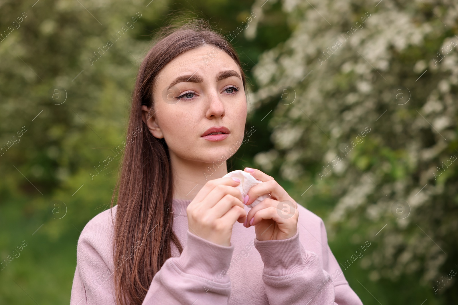 Woman with paper tissue suffering from seasonal pollen allergy near blossoming shrub on spring day Photo of Woman with paper tissue suffering from seasonal pollen allergy near blossoming shrub on spring day