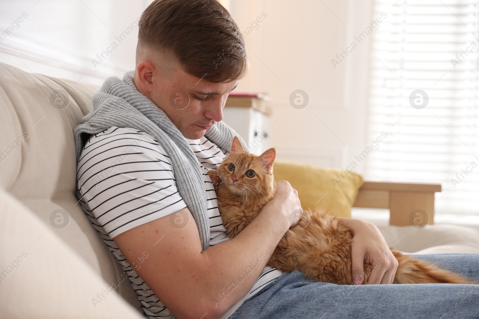 Man with cute ginger cat on sofa at home Photo of Man with cute ginger cat on sofa at home