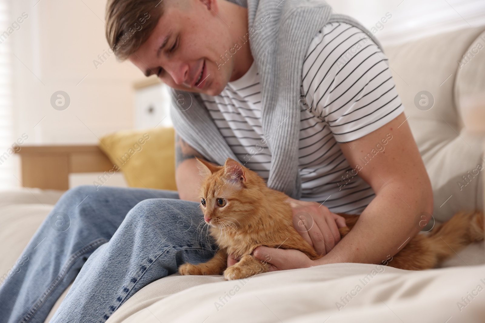 Man with cute ginger cat on sofa at home, selective focus Photo of Man with cute ginger cat on sofa at home, selective focus