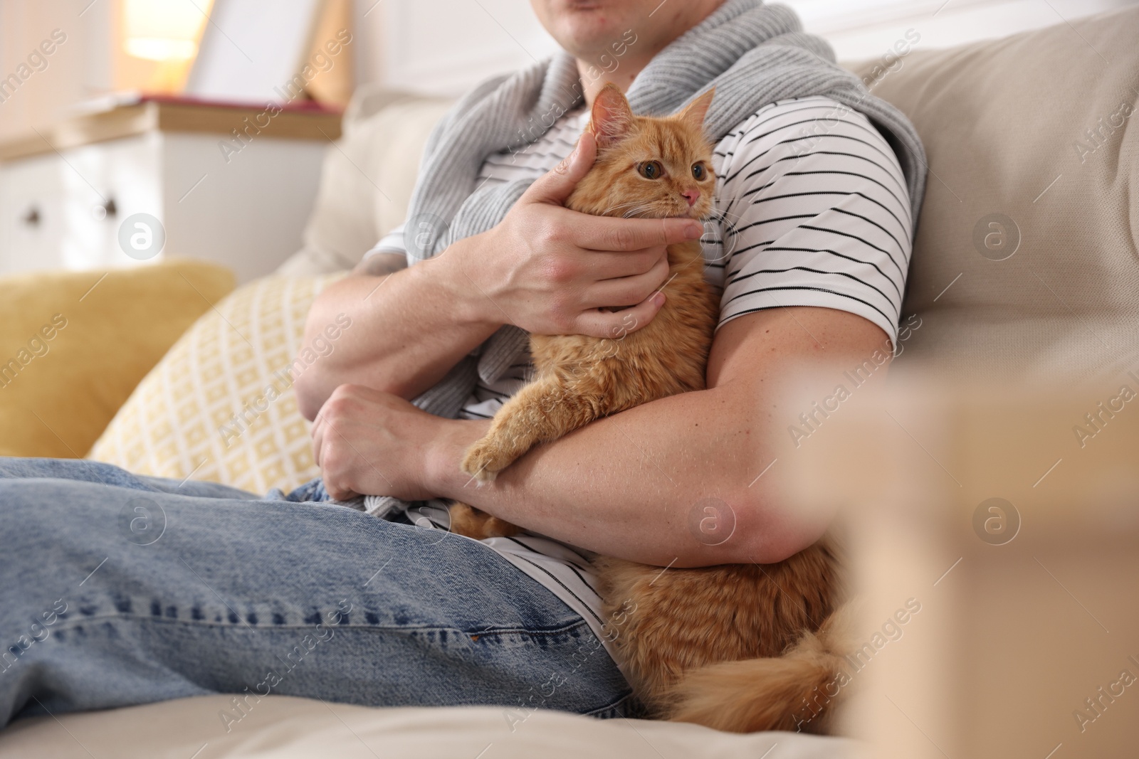 Man with cute ginger cat on sofa at home, closeup Photo of Man with cute ginger cat on sofa at home, closeup
