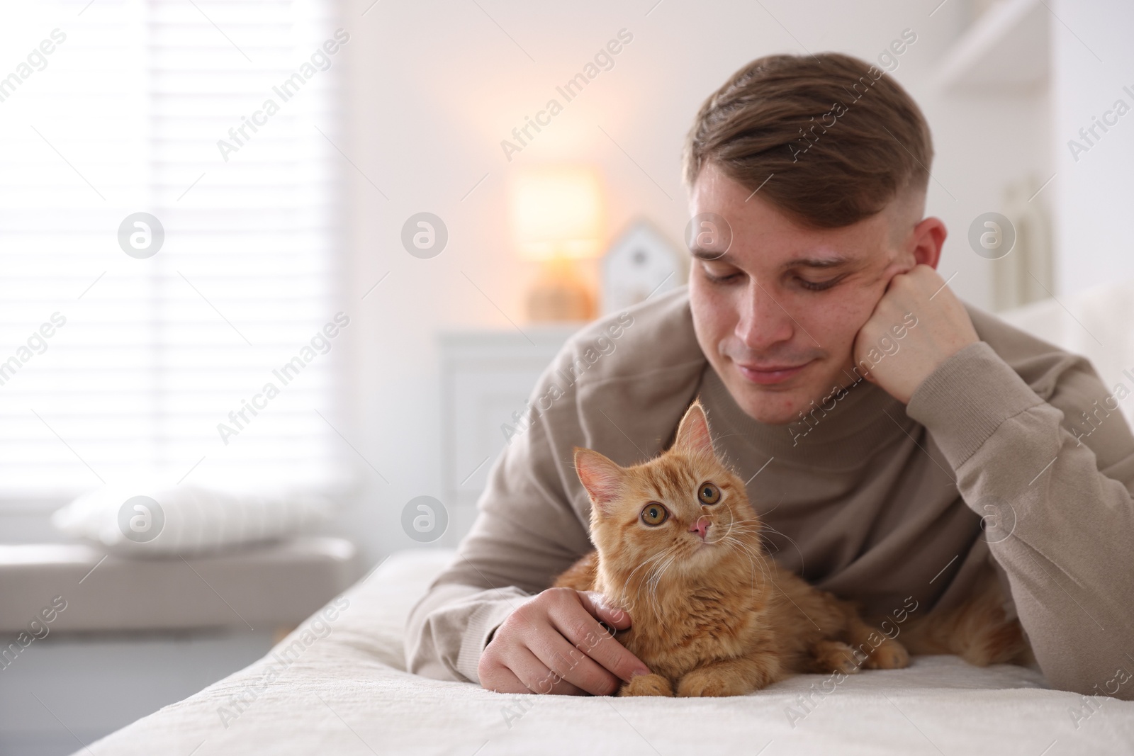 Man with cute ginger cat on sofa at home, space for text Photo of Man with cute ginger cat on sofa at home, space for text