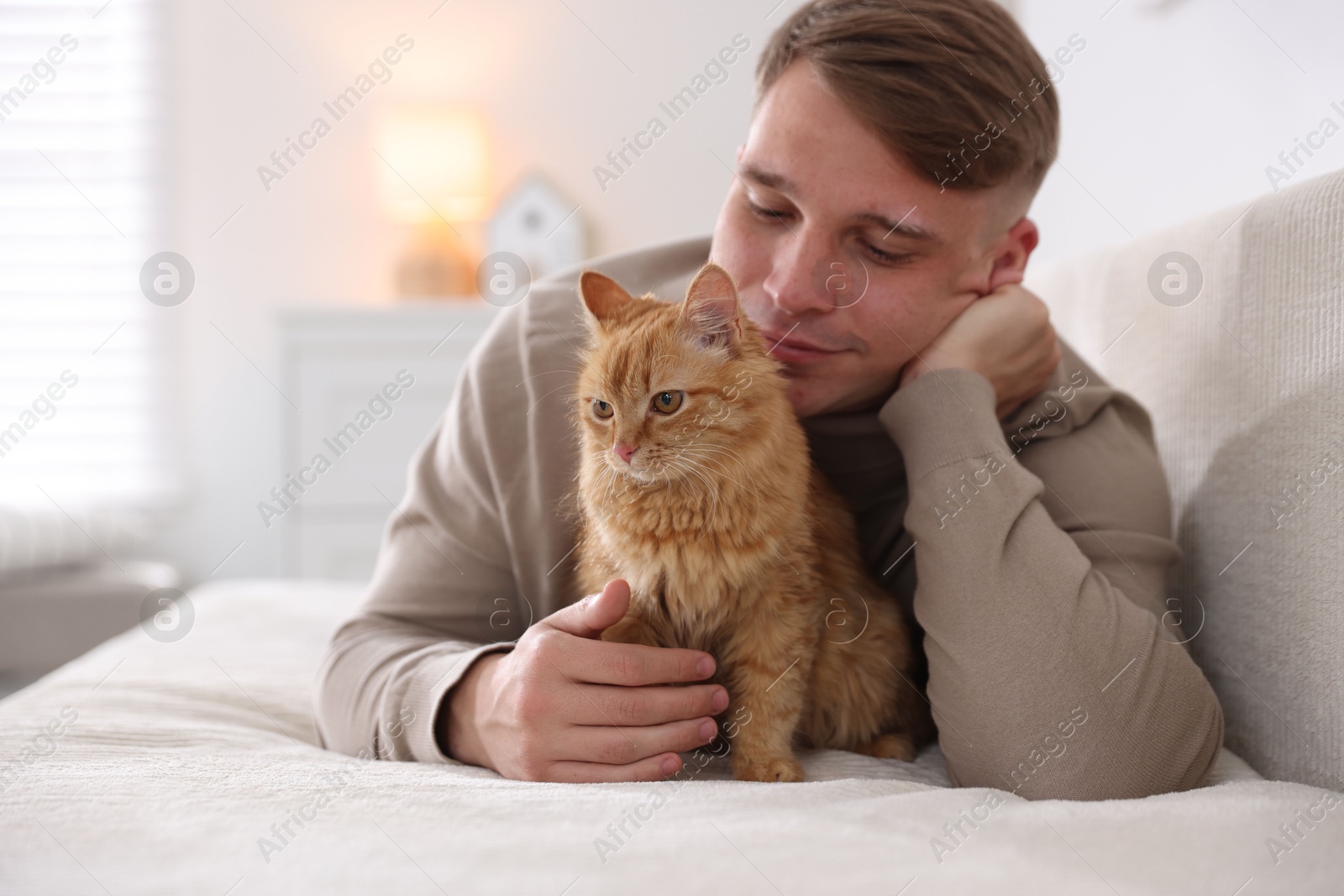 Man with cute ginger cat on sofa at home, selective focus Photo of Man with cute ginger cat on sofa at home, selective focus