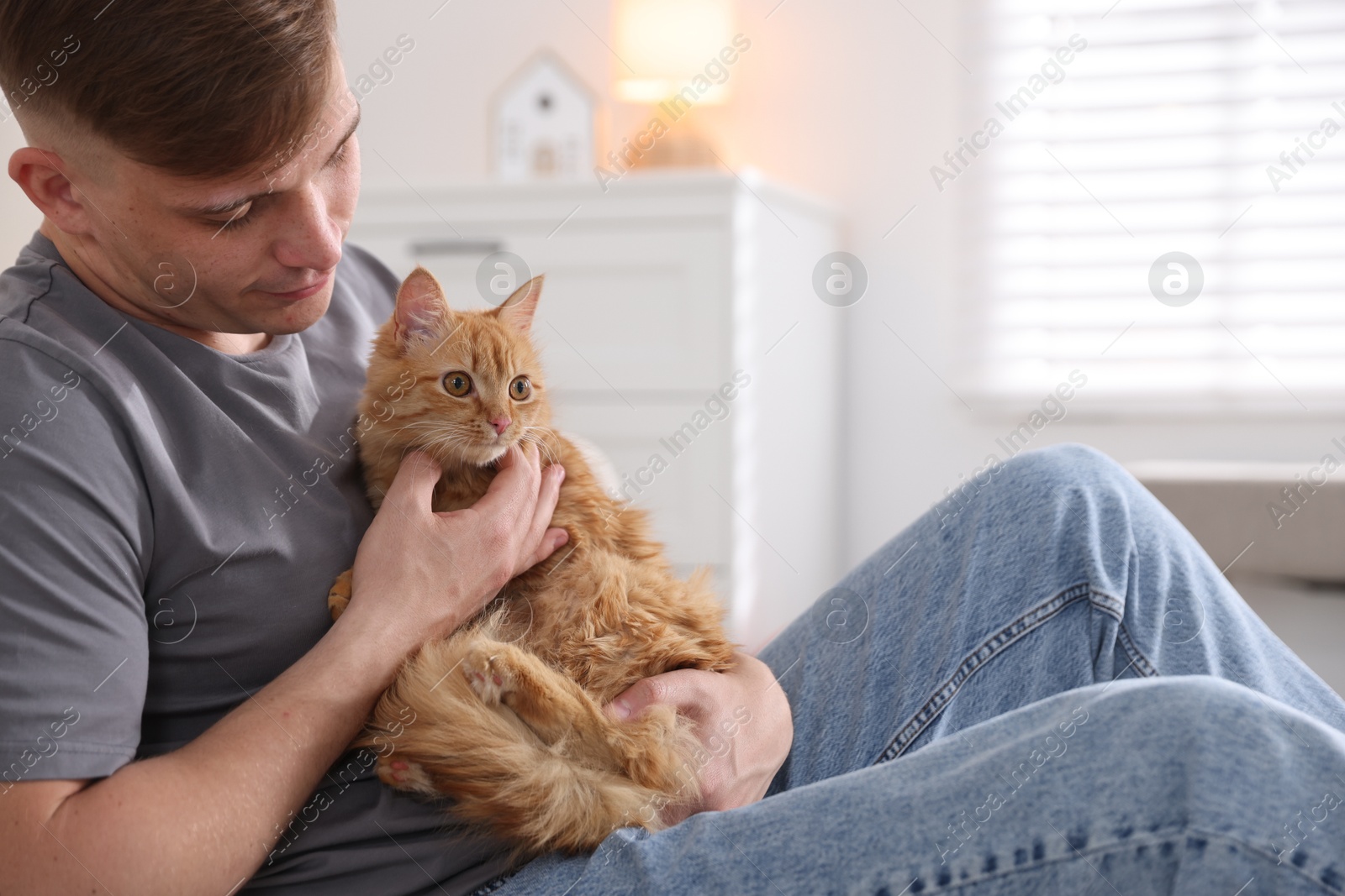 Man with cute ginger cat at home Photo of Man with cute ginger cat at home
