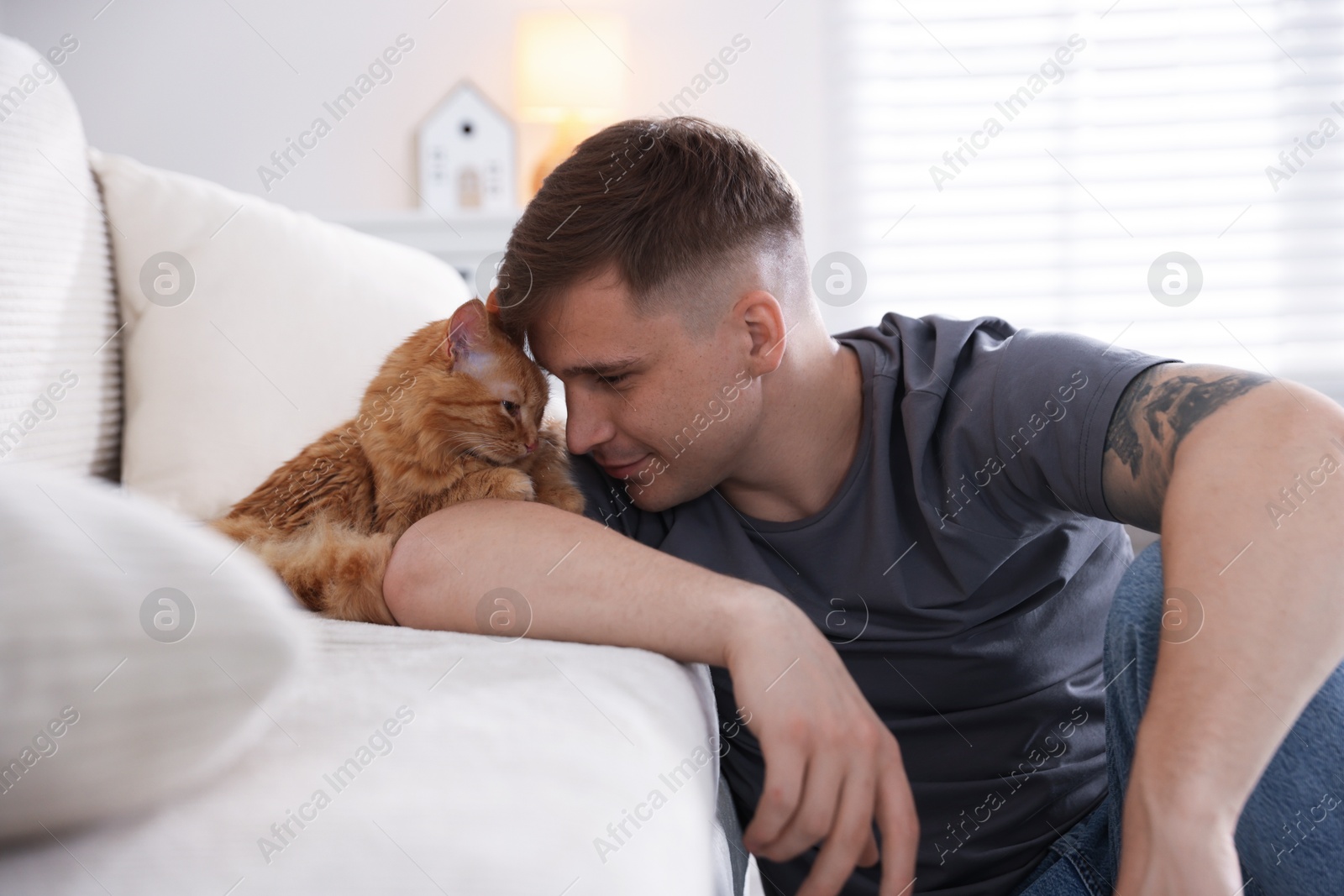 Man with cute ginger cat on sofa at home Photo of Man with cute ginger cat on sofa at home