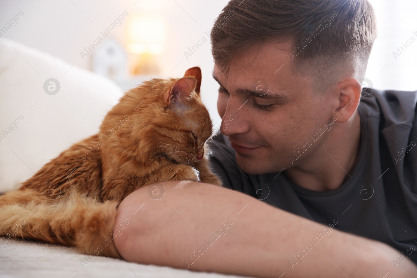 Man with cute ginger cat on sofa at home Photo of Man with cute ginger cat on sofa at home