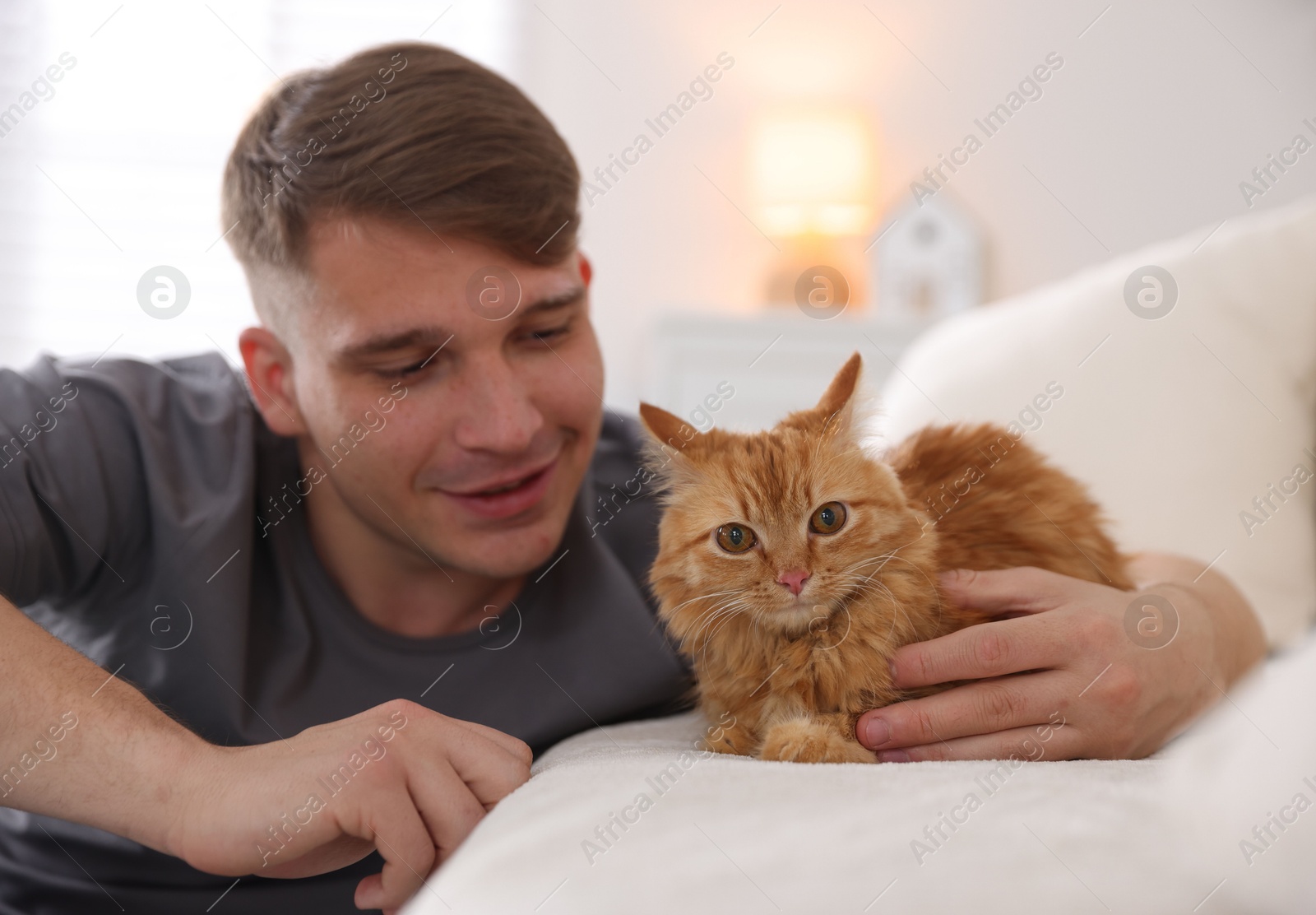 Man with cute ginger cat on sofa at home, selective focus Photo of Man with cute ginger cat on sofa at home, selective focus