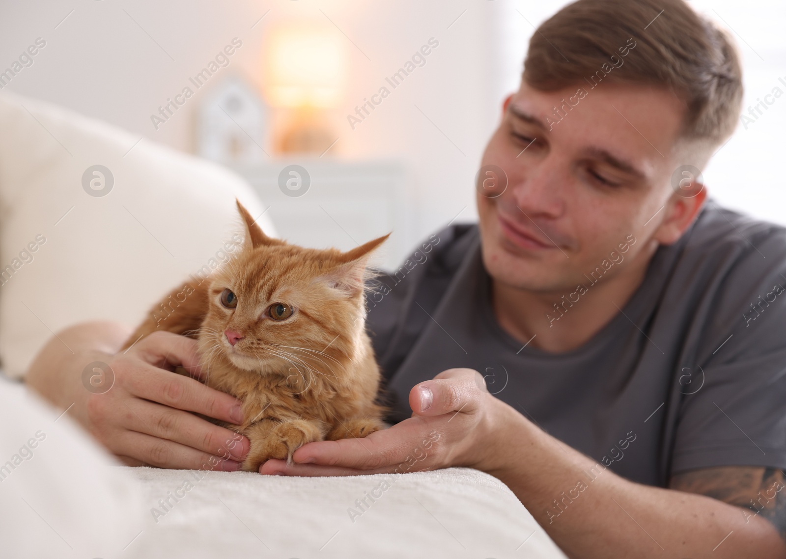 Man with cute ginger cat on sofa at home, selective focus Photo of Man with cute ginger cat on sofa at home, selective focus