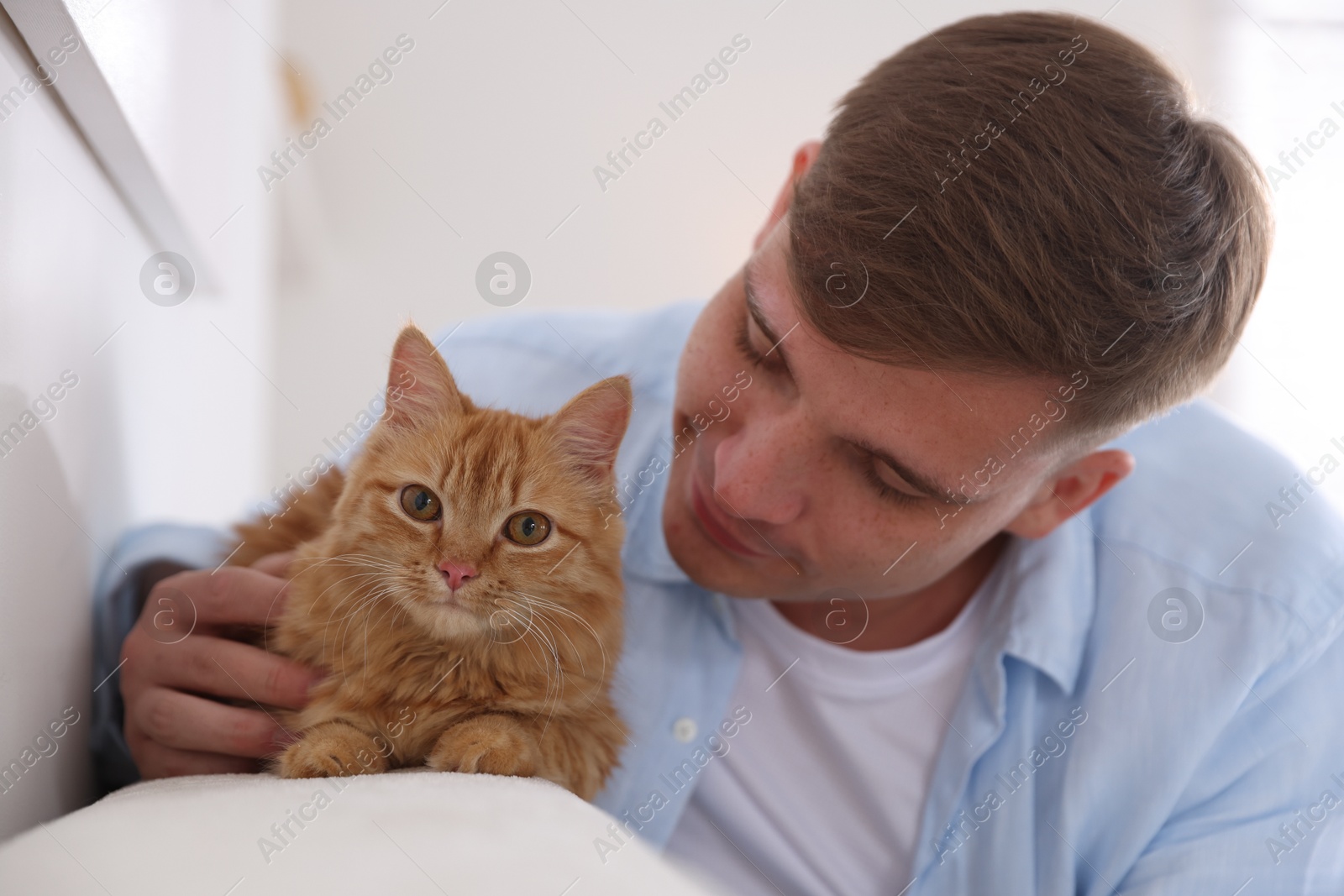 Man with cute ginger cat at home Photo of Man with cute ginger cat at home