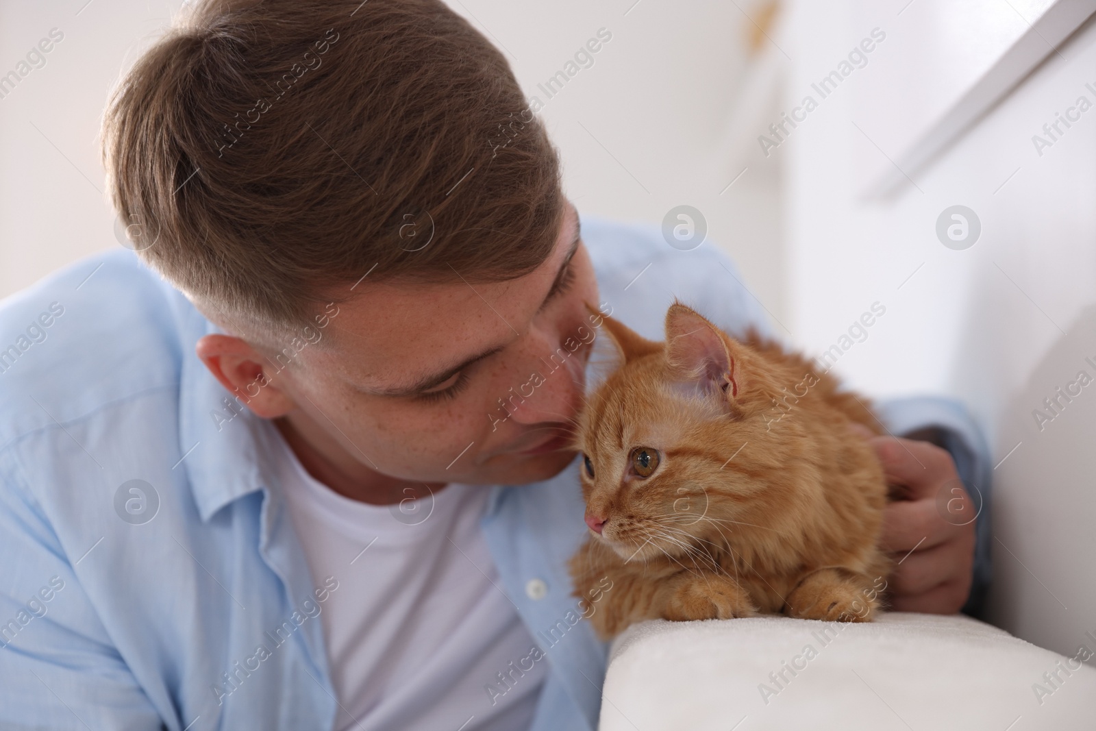 Man with cute ginger cat at home Photo of Man with cute ginger cat at home