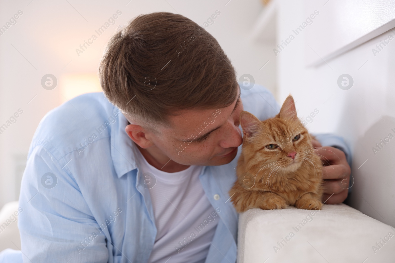 Man with cute ginger cat at home Photo of Man with cute ginger cat at home