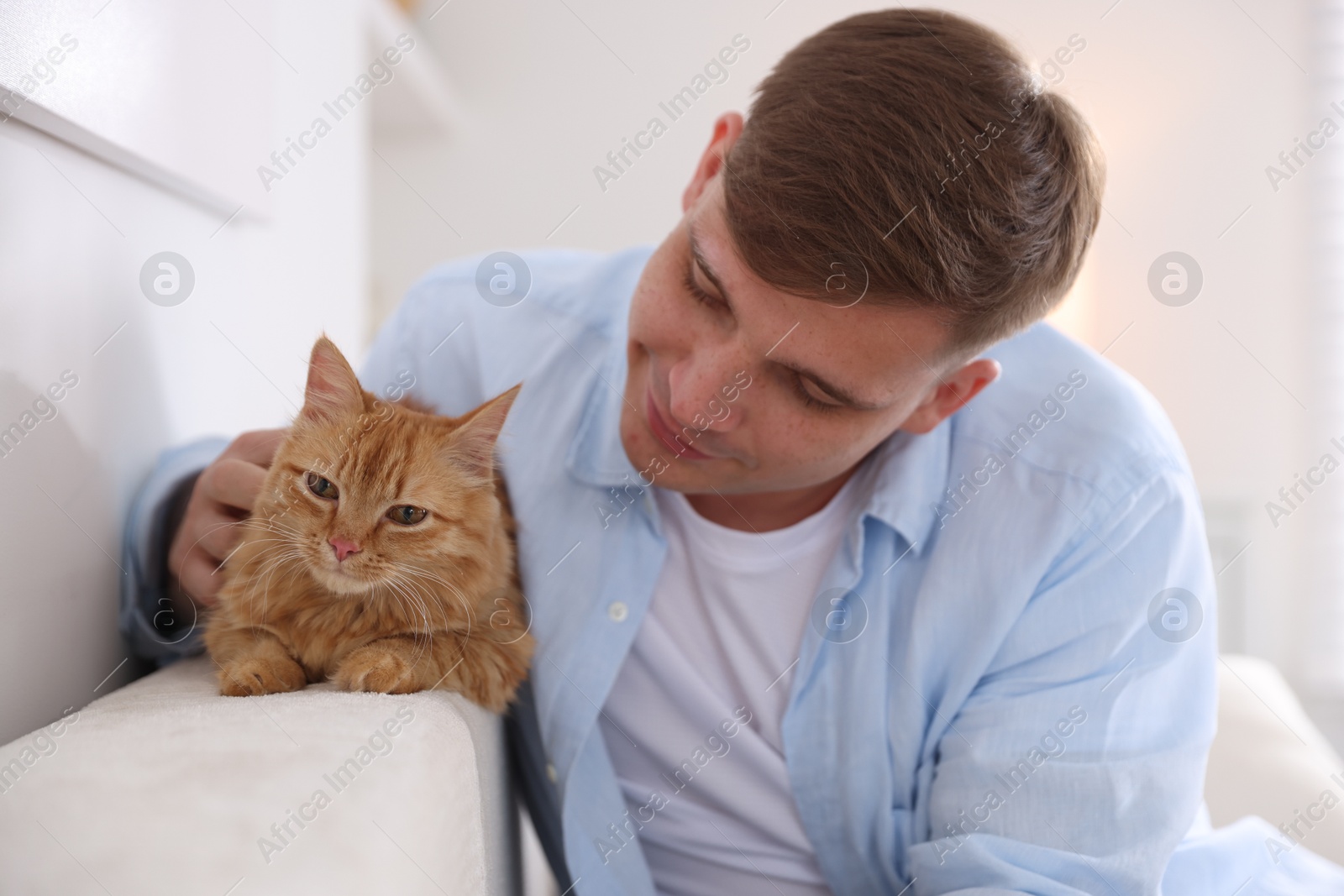 Man with cute ginger cat at home Photo of Man with cute ginger cat at home