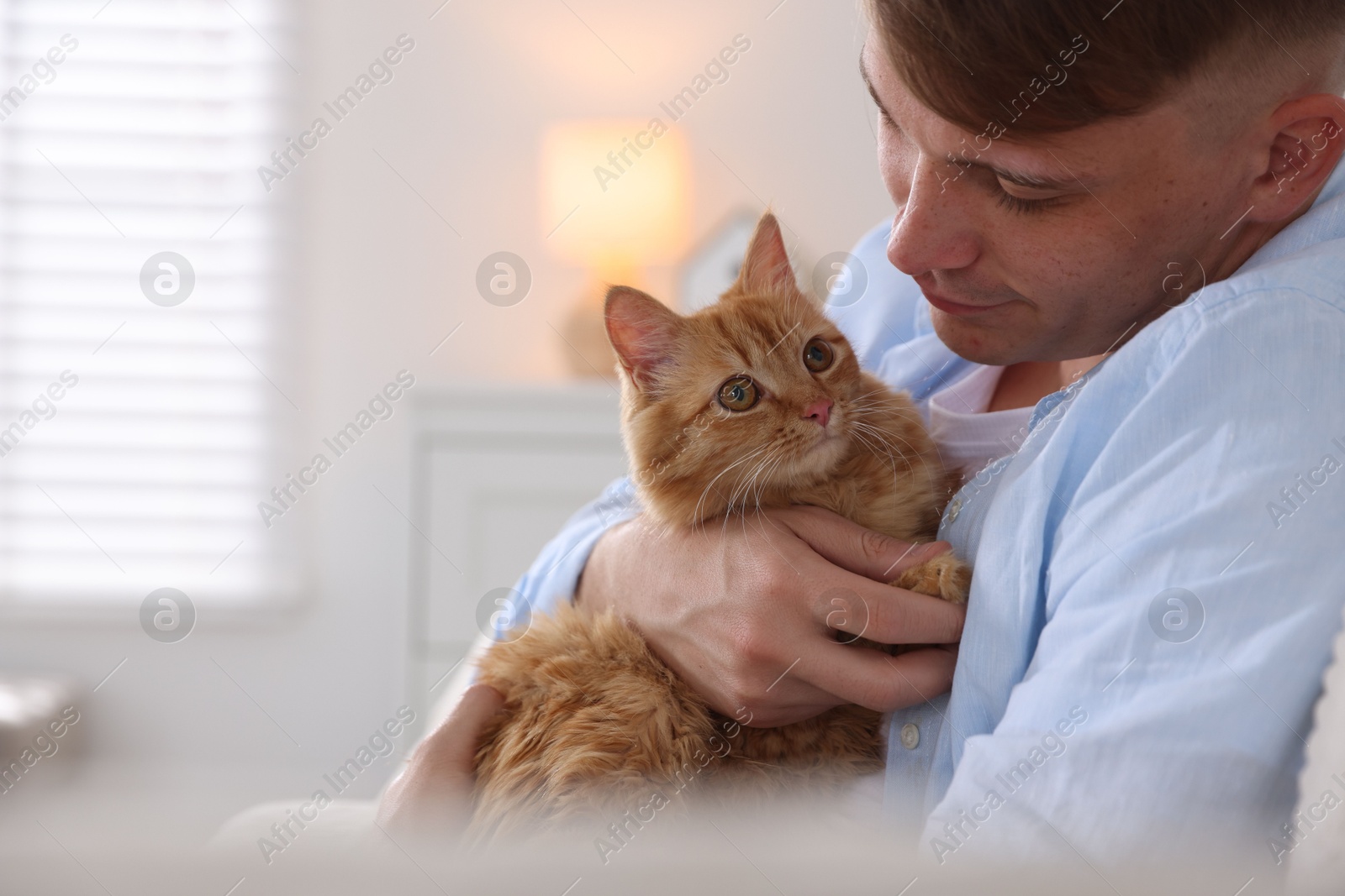Man with cute ginger cat at home, space for text Photo of Man with cute ginger cat at home, space for text