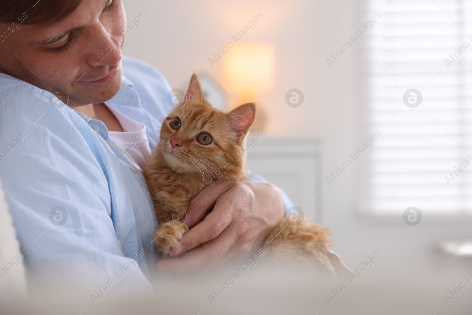 Man with cute ginger cat at home Photo of Man with cute ginger cat at home