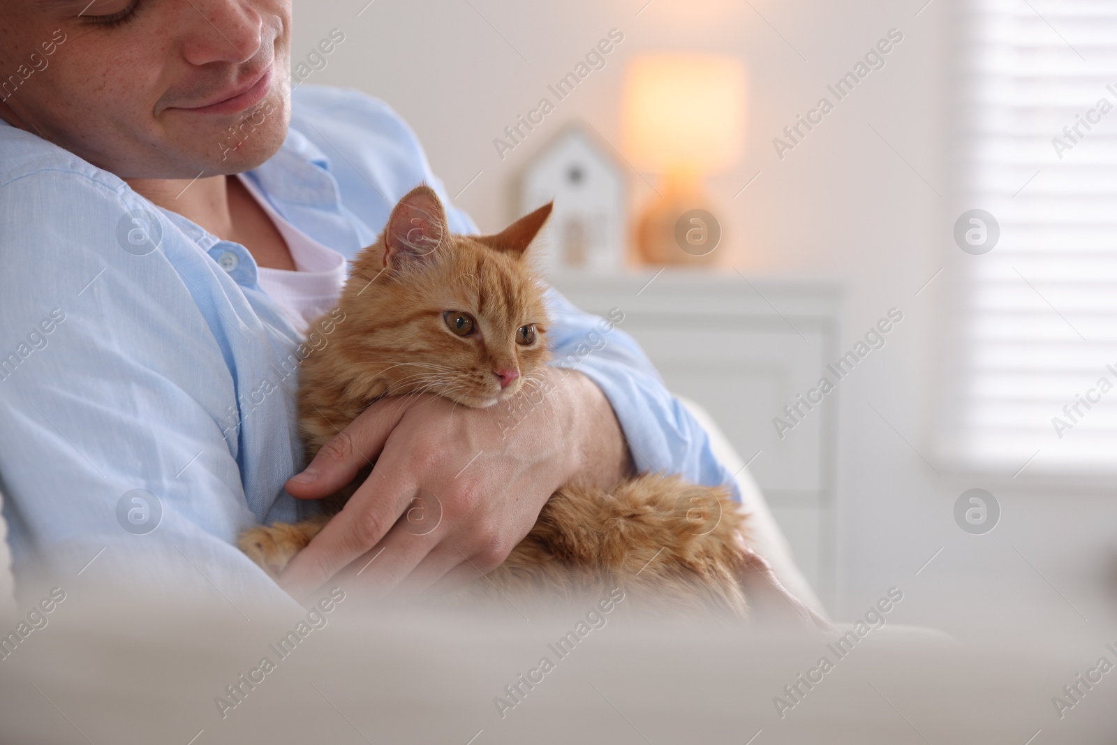 Man with cute ginger cat at home Photo of Man with cute ginger cat at home