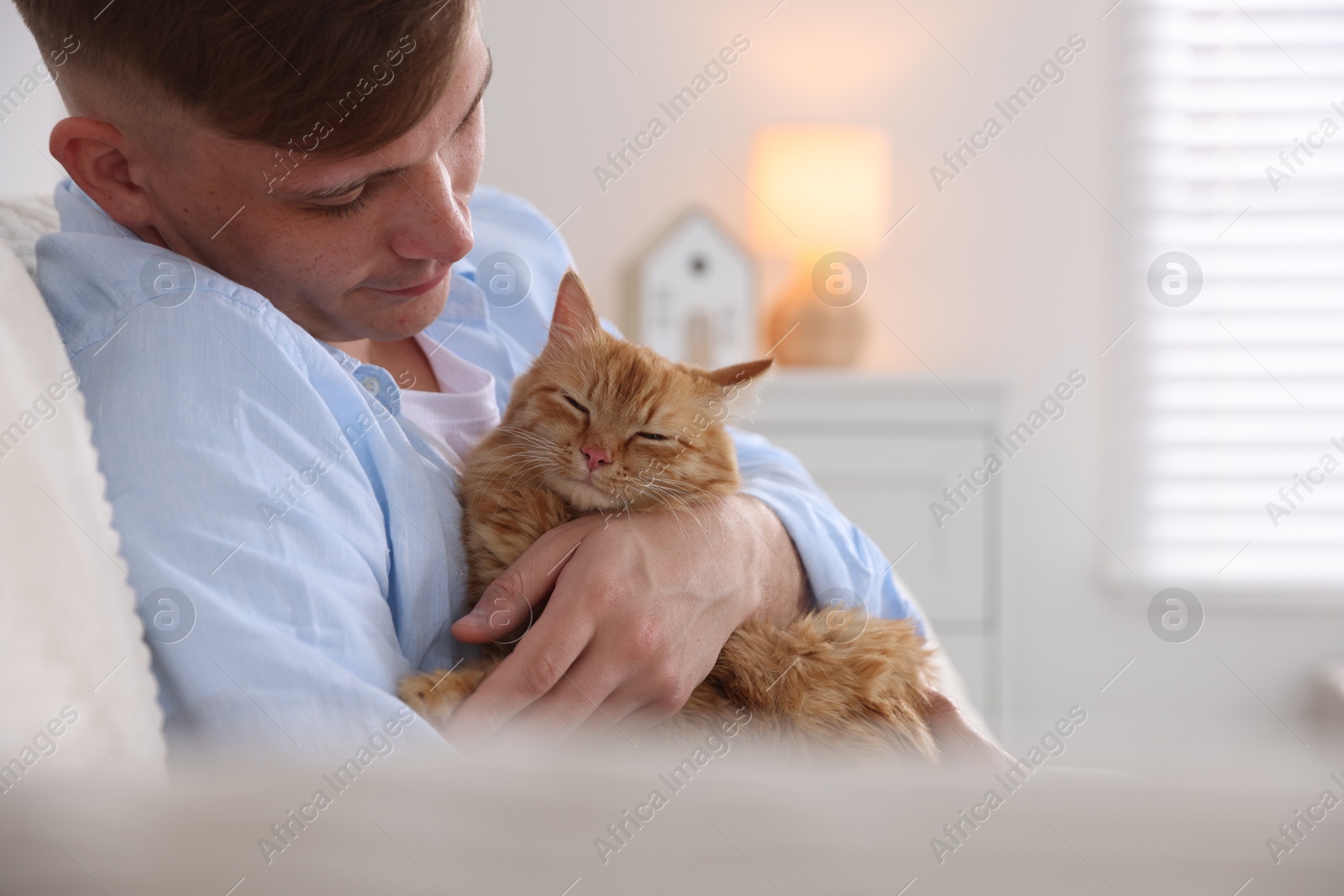 Man with cute ginger cat on sofa at home Photo of Man with cute ginger cat on sofa at home