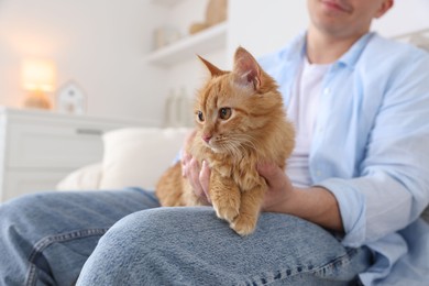 Photo of Man with cute ginger cat on sofa at home, closeup
