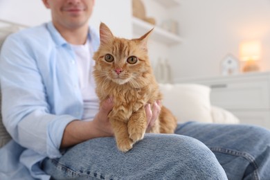 Photo of Man with cute ginger cat on sofa at home, closeup