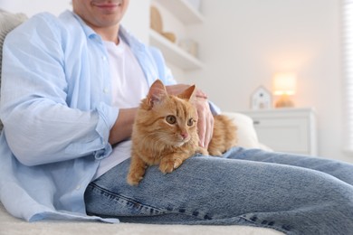 Photo of Man with cute ginger cat on sofa at home, closeup
