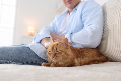Photo of Man with cute ginger cat on sofa at home, closeup