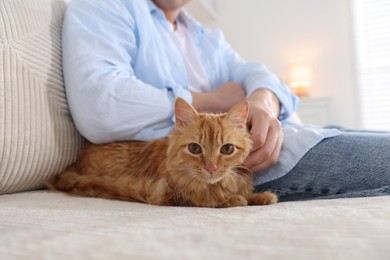 Photo of Man with cute ginger cat on sofa at home, closeup