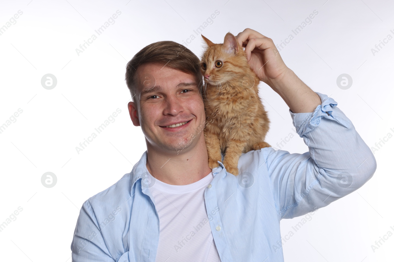 Man with cute ginger cat on white background Photo of Man with cute ginger cat on white background