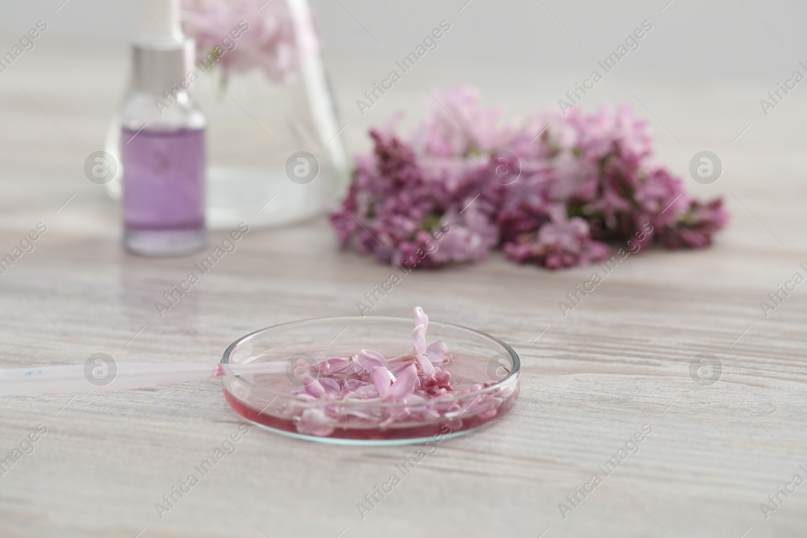 Photo of Making luxury perfume. Essential oils in glassware and flowers on white wooden table, closeup