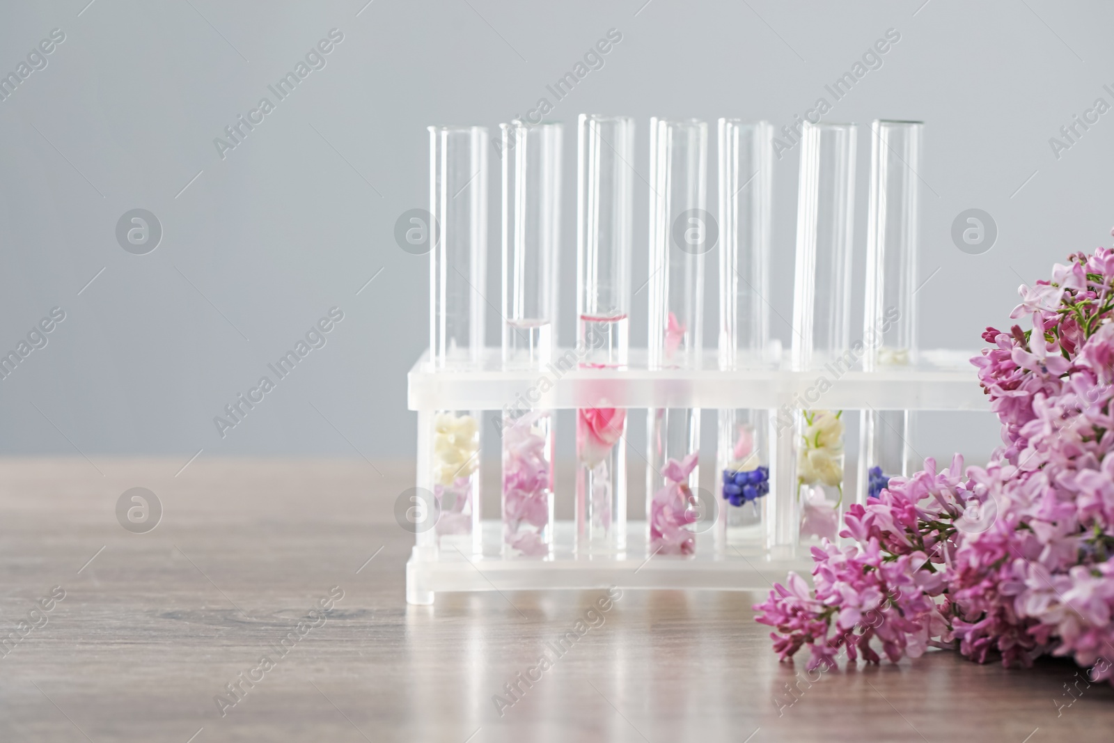 Photo of Making luxury perfume. Essential oils in glassware and flowers on light wooden table, closeup. Space for text