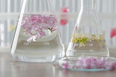 Photo of Making luxury perfume. Essential oils in glassware and flowers on light wooden table, closeup