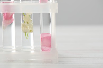 Photo of Making luxury perfume. Essential oils in glassware and flowers on white wooden table, closeup. Space for text
