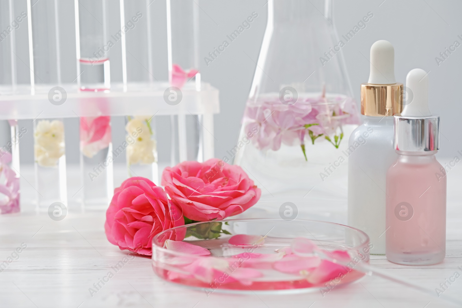 Photo of Making luxury perfume. Essential oils in glassware and flowers on white wooden table, closeup