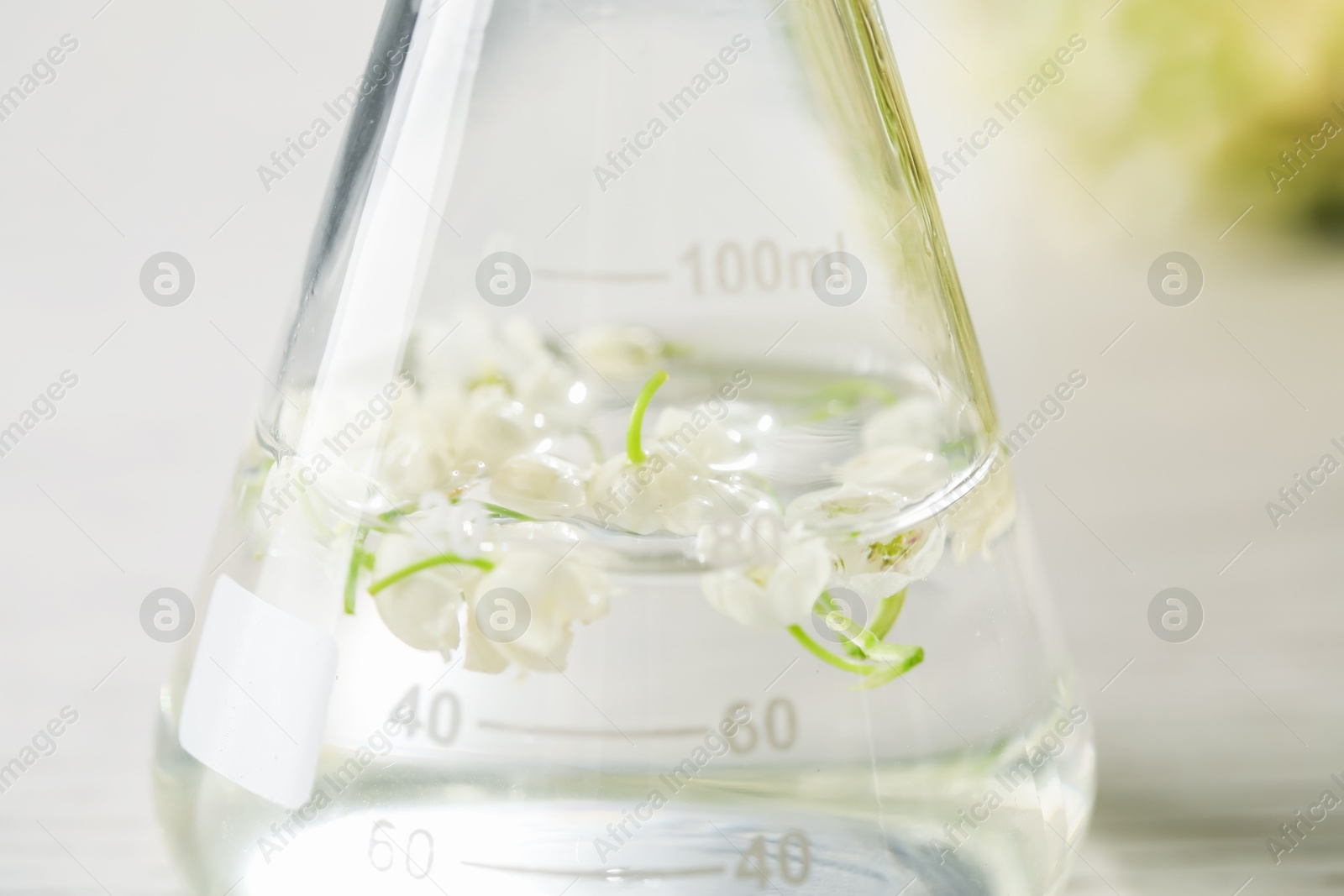 Photo of Making luxury perfume. Essential oils and flowers in flask on white table, closeup