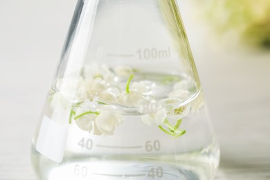 Photo of Making luxury perfume. Essential oils and flowers in flask on white table, closeup