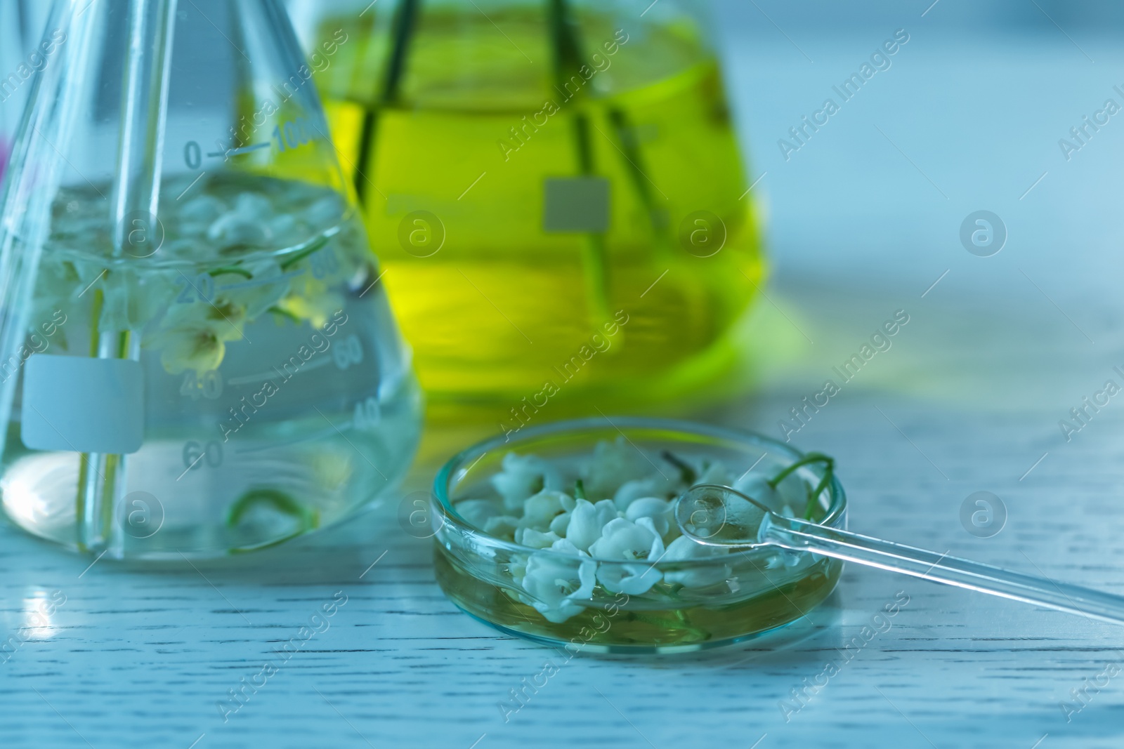 Photo of Making luxury perfume. Essential oils in glassware and flowers on white wooden table, closeup