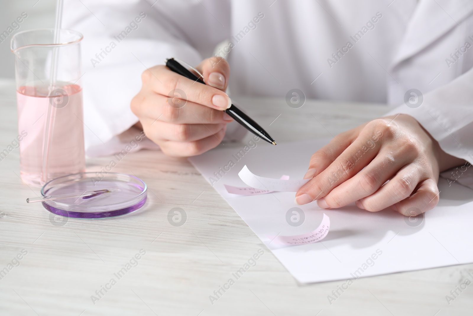 Professional perfumer developing luxury perfume at white wooden table in laboratory, closeup Photo of Professional perfumer developing luxury perfume at white wooden table in laboratory, closeup